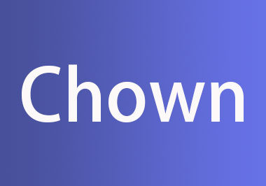Chown 命令备忘清单